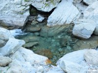 2025-07-27 M. Pelago e Lacs Bessons 016